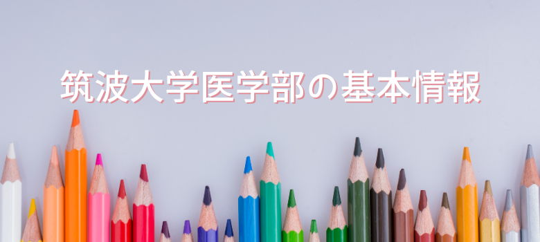 基本情報