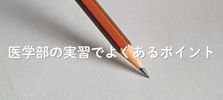 実習ポイント