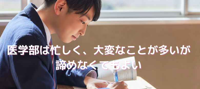 医学部在学