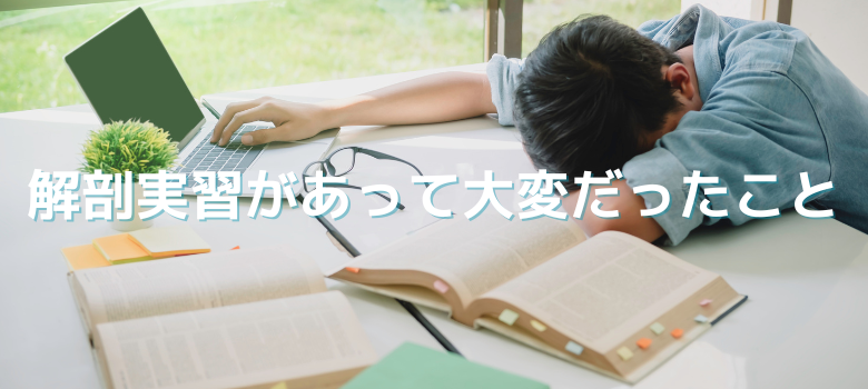解剖実習大変