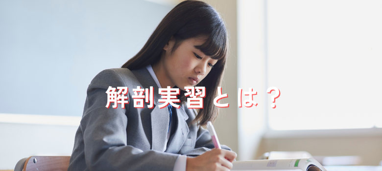 解剖実習
