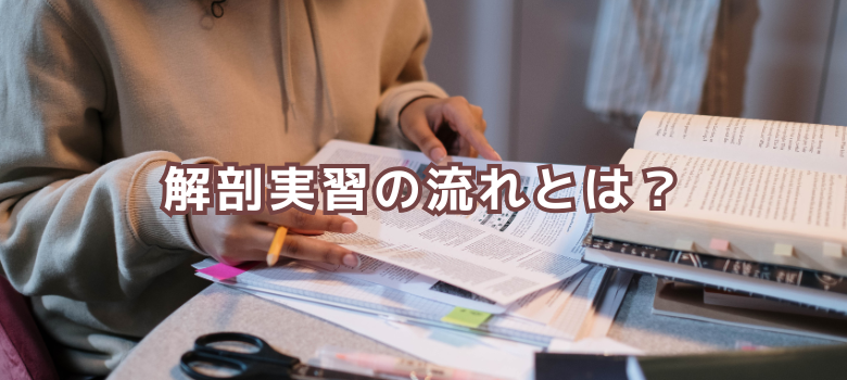 解剖実習流れ