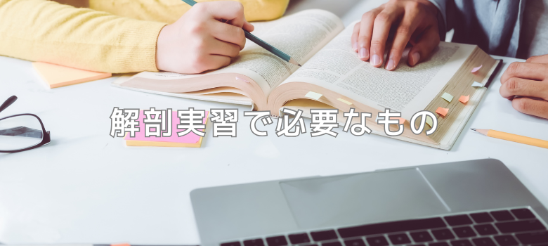 医学部解剖実習